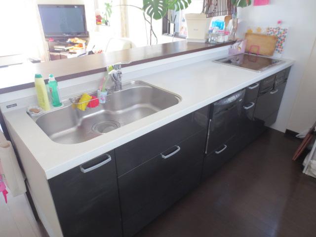 Kitchen. Indoor (11 May 2013) Shooting