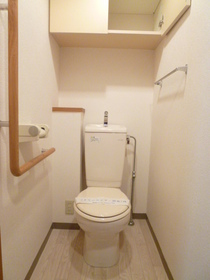 Toilet. The same type by the room