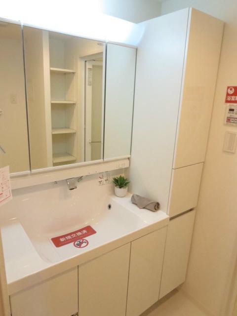 Other. Storage rich independent wash basin!