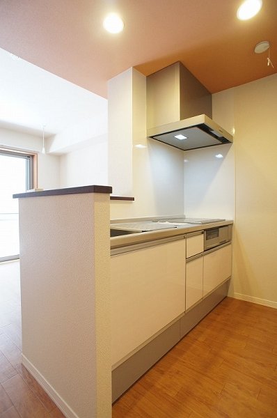 Kitchen. Convenient face-to-face kitchen to clean up the back or carry a cuisine. 