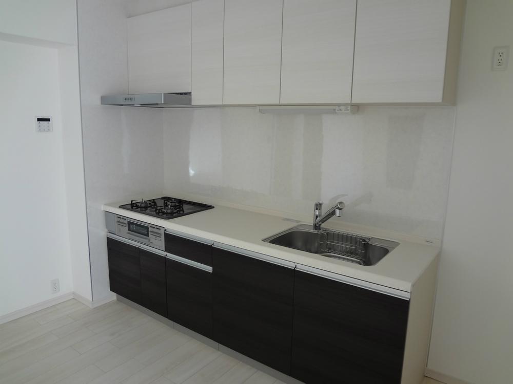 Kitchen. Indoor (11 May 2013) Shooting