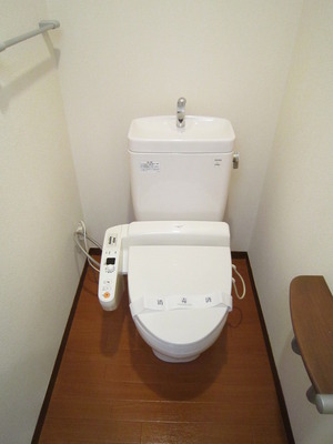 Toilet. With warm water washing toilet seat