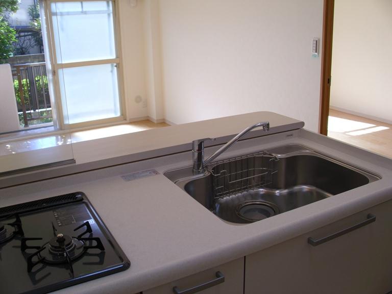 Kitchen. Indoor (11 May 2013) Shooting