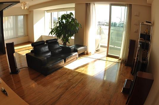 Living. Indoor (10 May 2013) Shooting