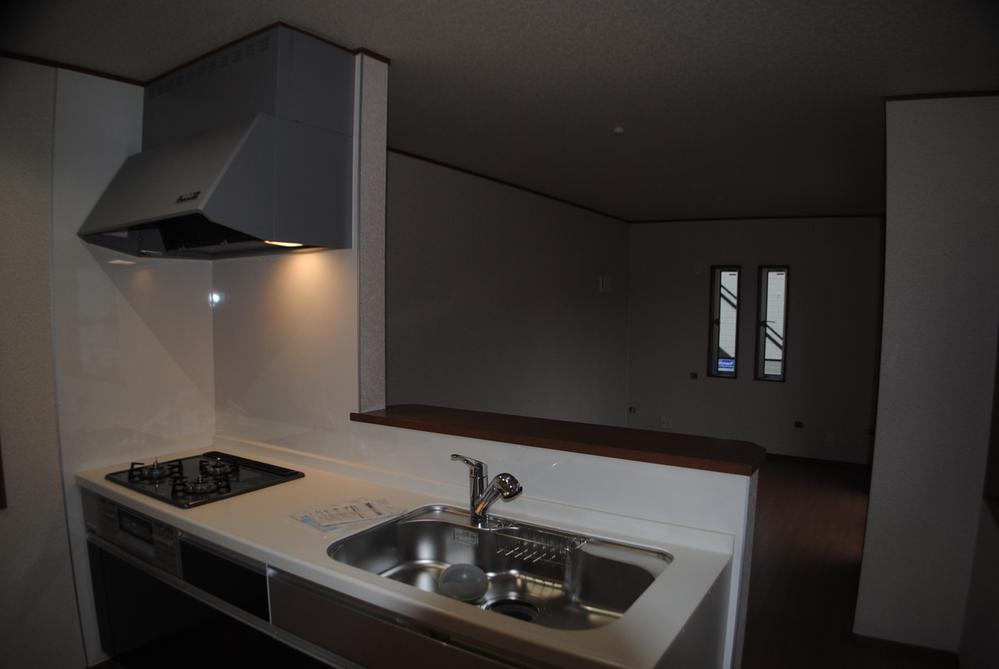 Living. Indoor (10 May 2013) Shooting