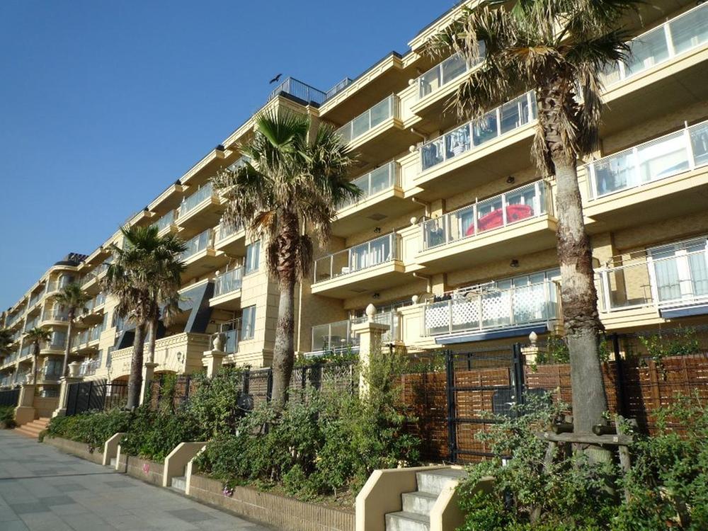 Local appearance photo. June 2013 shooting