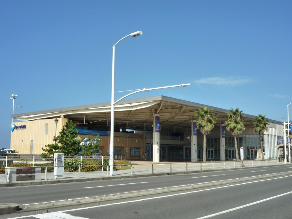 Other. Enoshima Aquarium (a 3-minute walk)
