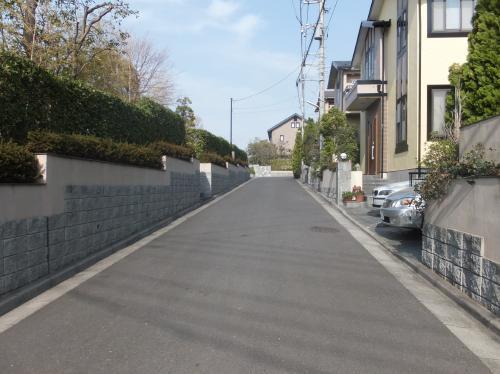 Other local. Frontal road