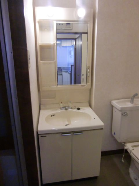 Washroom. Bathroom vanity