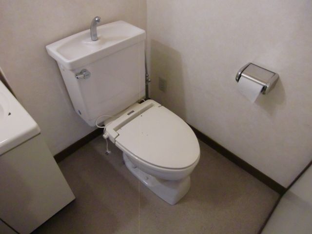 Toilet. Toilet