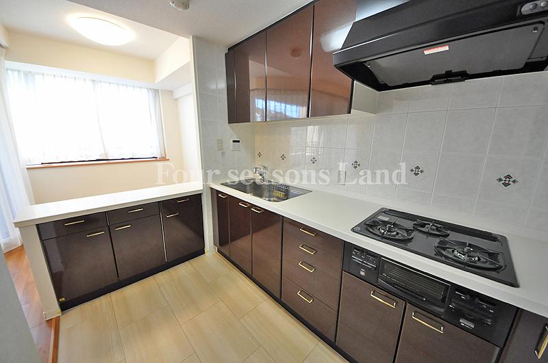 Kitchen. Indoor (12 May 2013) Shooting