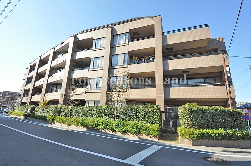 Local appearance photo. Local (12 May 2013) Shooting