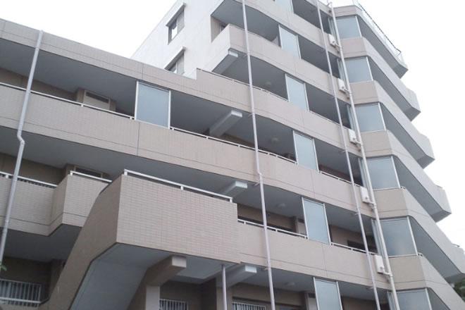 Local appearance photo. Appearance (November 2013) Shooting