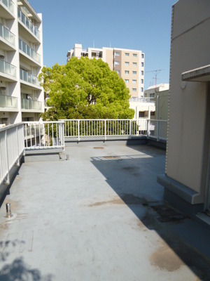 View. roof balcony