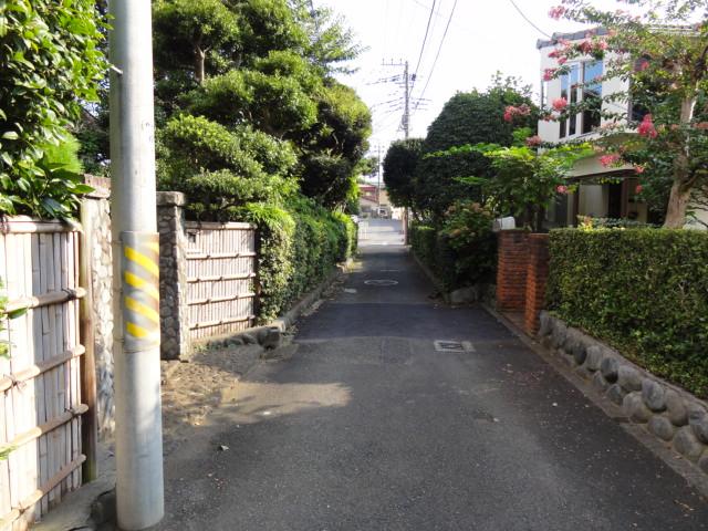 Other Environmental Photo. Local middle of the road (September 2013) Shooting