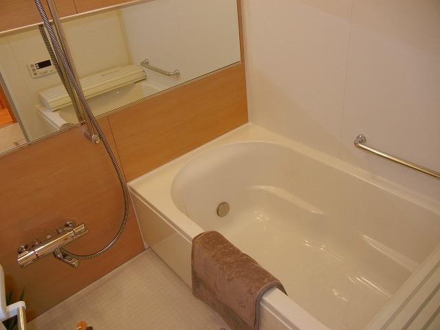 Bathroom. Indoor (September 2012) shooting