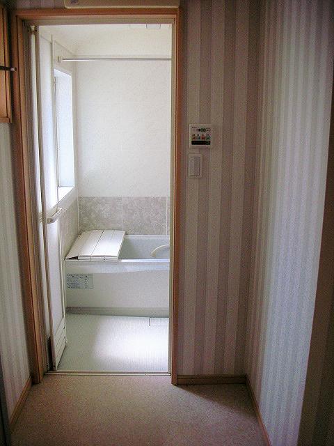 Bathroom. Wide and bright wash room, bathroom