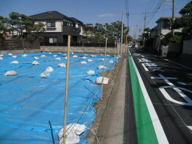 Local photos, including front road. Southeast side of the front road is about the width 5.3m. Good is per yang.