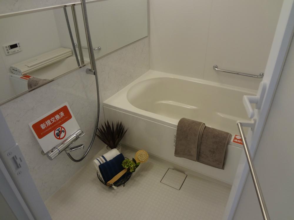 Bathroom. Indoor (12 May 2013) Shooting