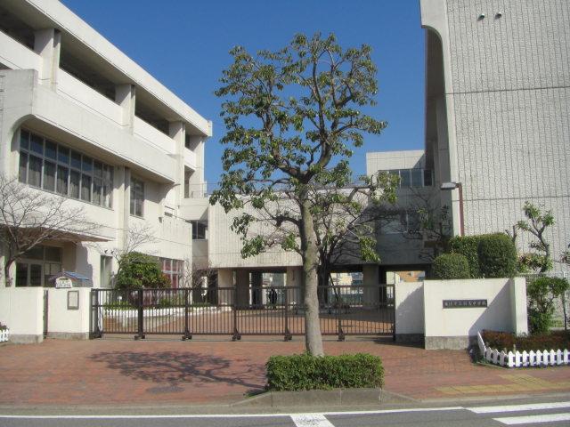 Junior high school. Hatori junior high school
