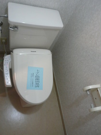 Toilet. Toilet