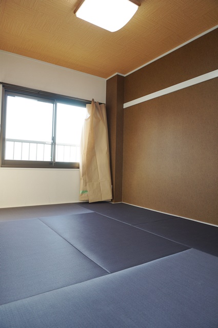 Other room space. The color is a tatami!