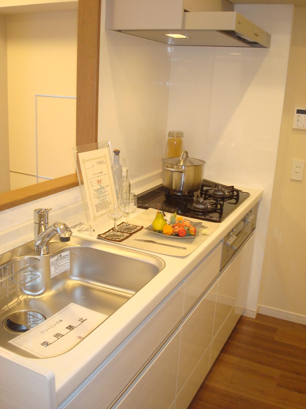 Kitchen. Indoor (11 May 2013) Shooting