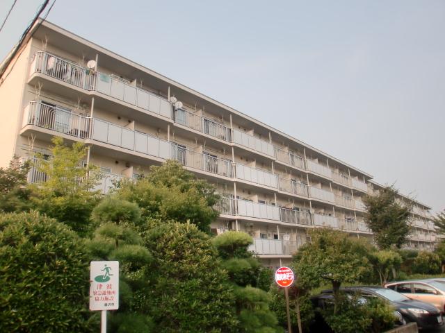 Local appearance photo. Local (August 2013) Shooting