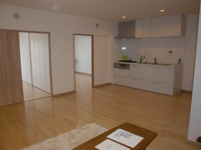 Living. Room (August 2013) Shooting