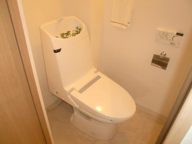 Toilet. Room (August 2013) Shooting