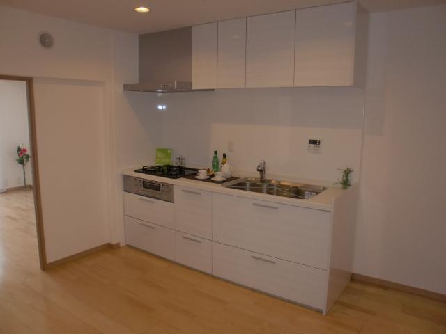 Kitchen. Room (August 2013) Shooting