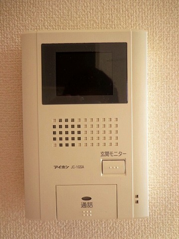 Security. Intercom with TV monitor