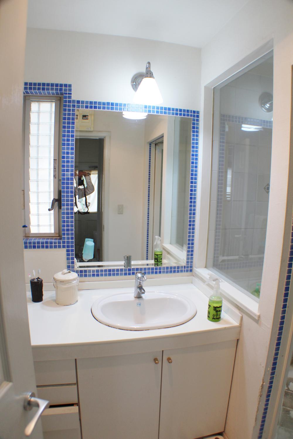 Wash basin, toilet. Indoor (July 2013) Shooting
