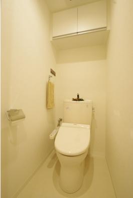 Toilet. Indoor (11 May 2013) Shooting