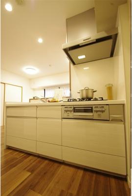 Kitchen. Indoor (11 May 2013) Shooting