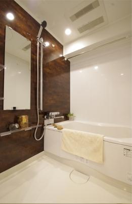 Bathroom. Indoor (11 May 2013) Shooting