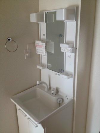 Wash basin, toilet. With a convenient shampoo dresser!