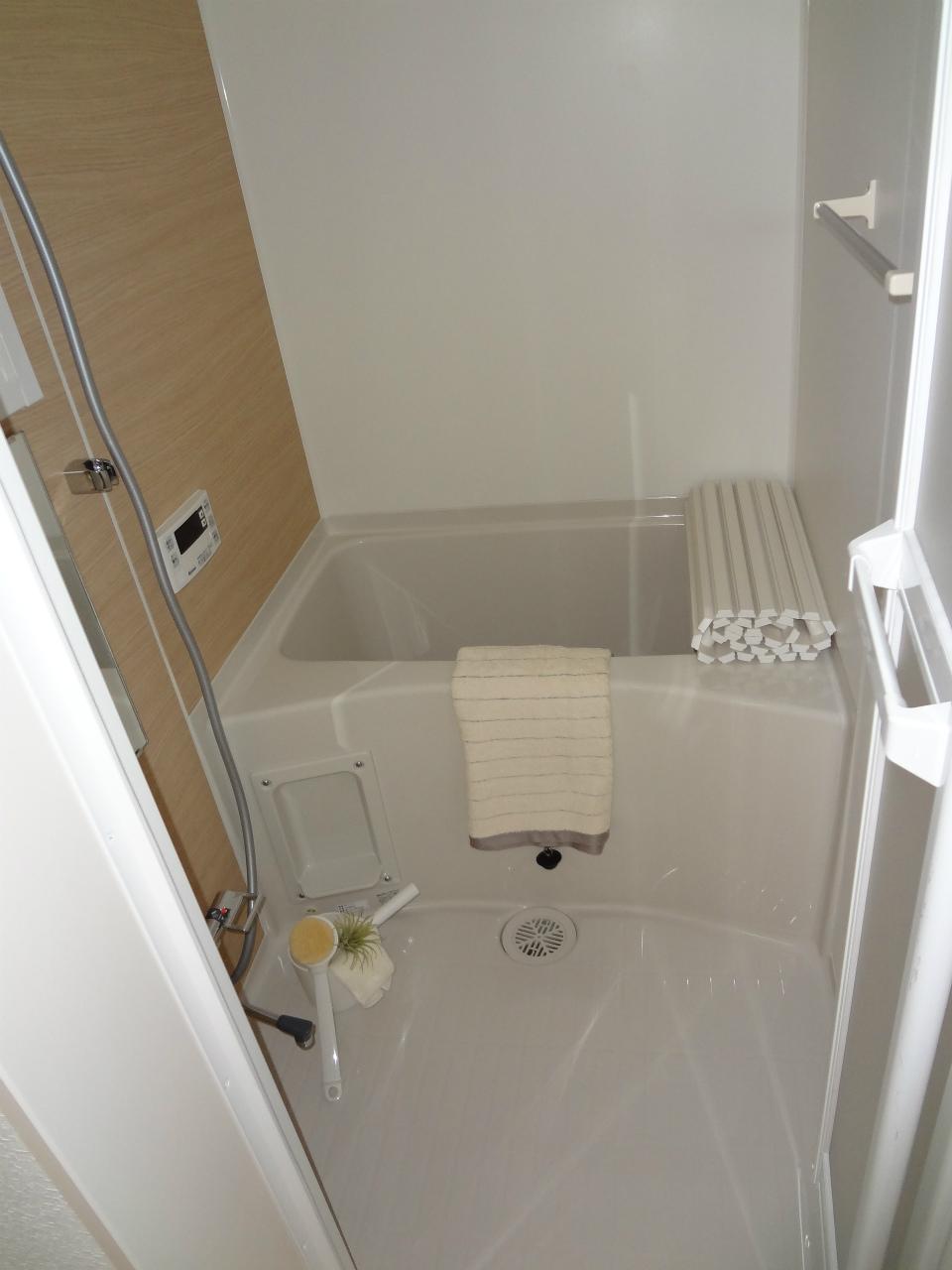 Bathroom. Indoor (12 May 2013) Shooting