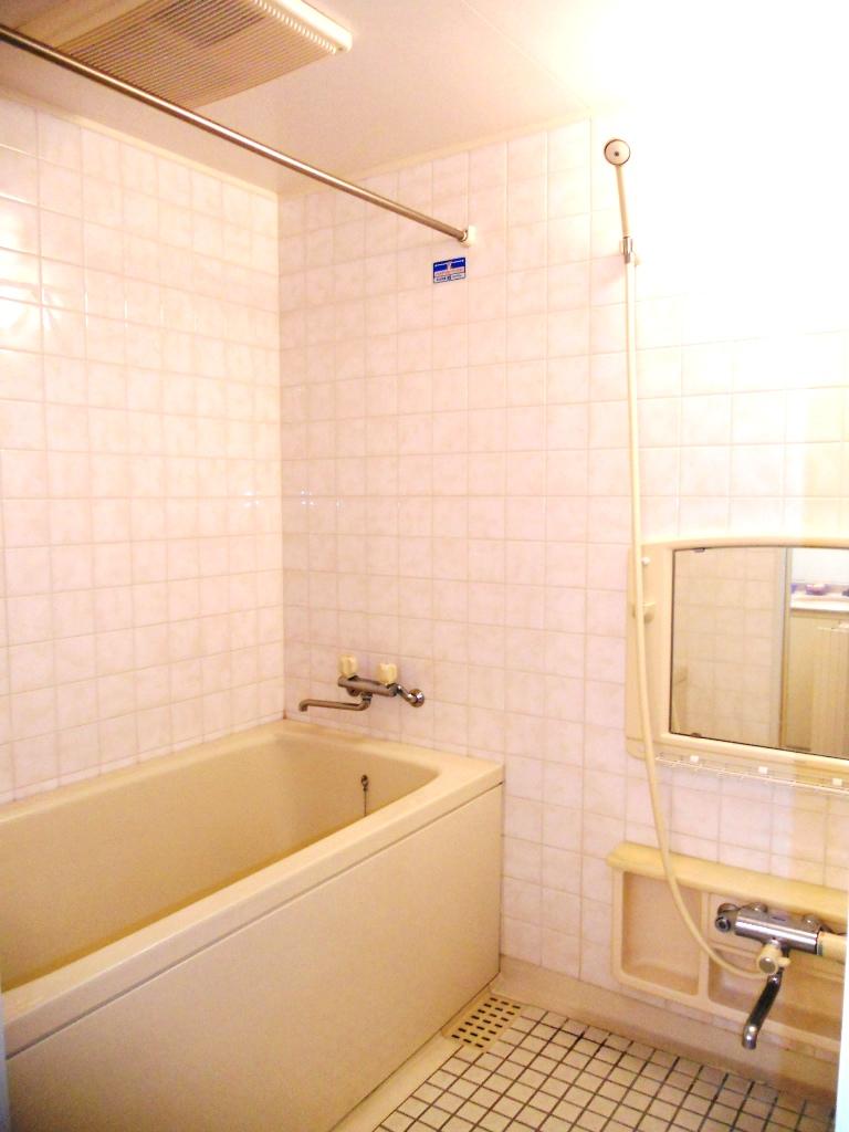 Bathroom. Bathroom (12 May 2013) Shooting