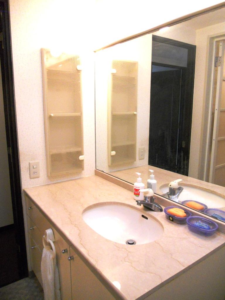 Wash basin, toilet. Washroom (December 2013) Shooting