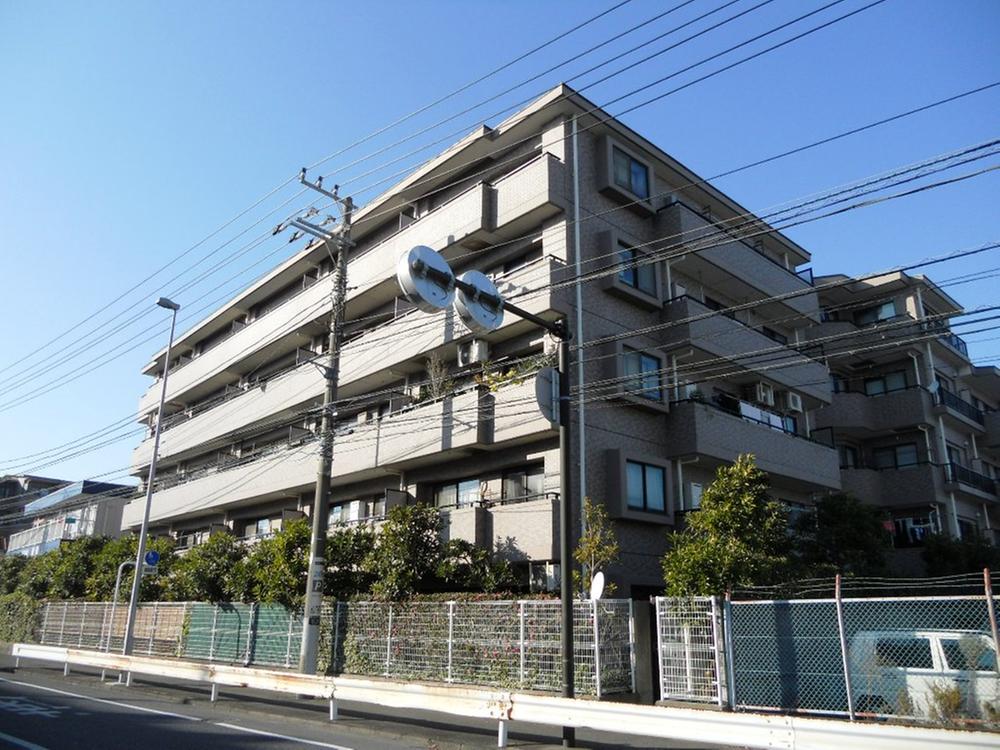 Local appearance photo. Southeast side appearance (December 2013) Shooting