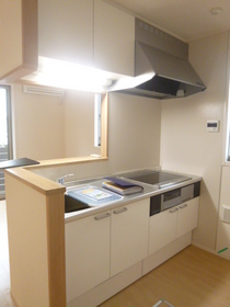 Kitchen. System kitchen ※ IH stove