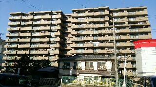 Local appearance photo. Local (12 May 2013) Shooting