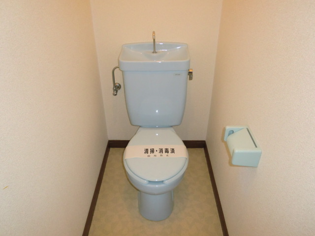 Toilet. Cute pale blue of the toilet