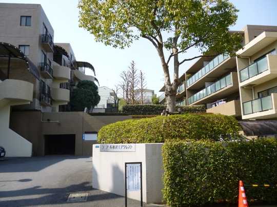 Local appearance photo. Appearance 1