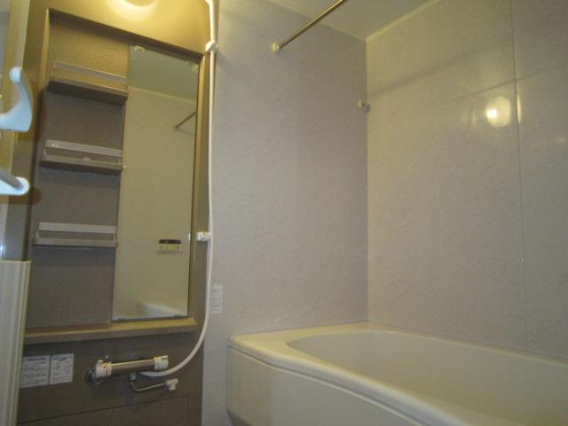 Bathroom. Indoor (10 May 2013) Shooting