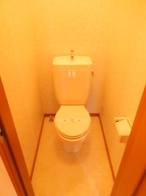 Toilet. Western-style toilet!