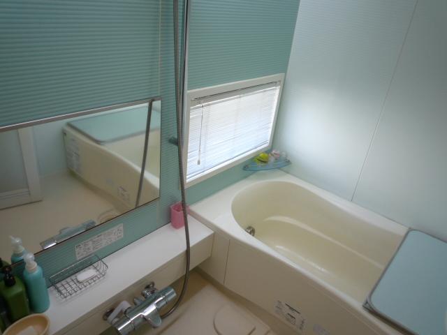 Bathroom. Indoor (12 May 2012) shooting