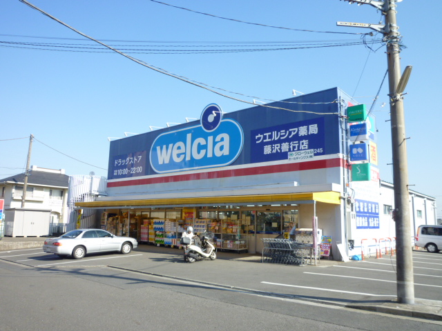 Dorakkusutoa. Uerushia Fujisawa beneficence shop 537m until (drugstore)