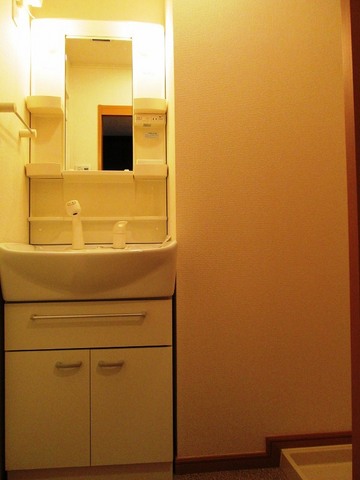 Other room space. Independent wash basin is shampoo dresser.